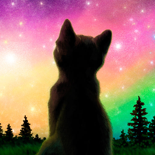 Aurora Full of Stars! 18x8 Special Edition Panorama Wrapped Canvas Print