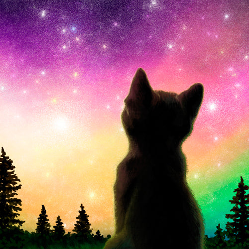 Aurora Full of Stars! Matted Print