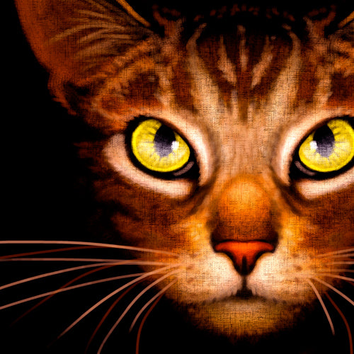 Out of the Shadows Matted Print