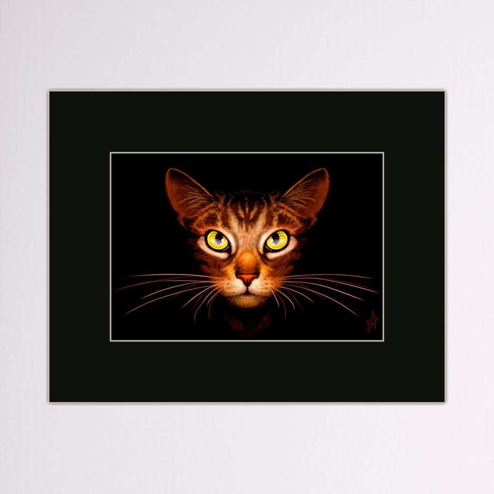 Out of the Shadows Matted Print