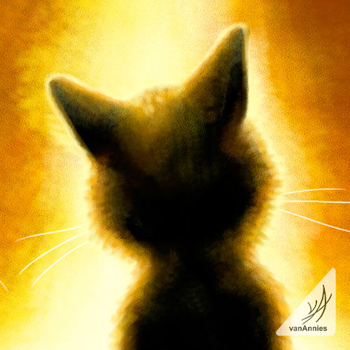 Orion's Fire 8x12 Wrapped Canvas Print