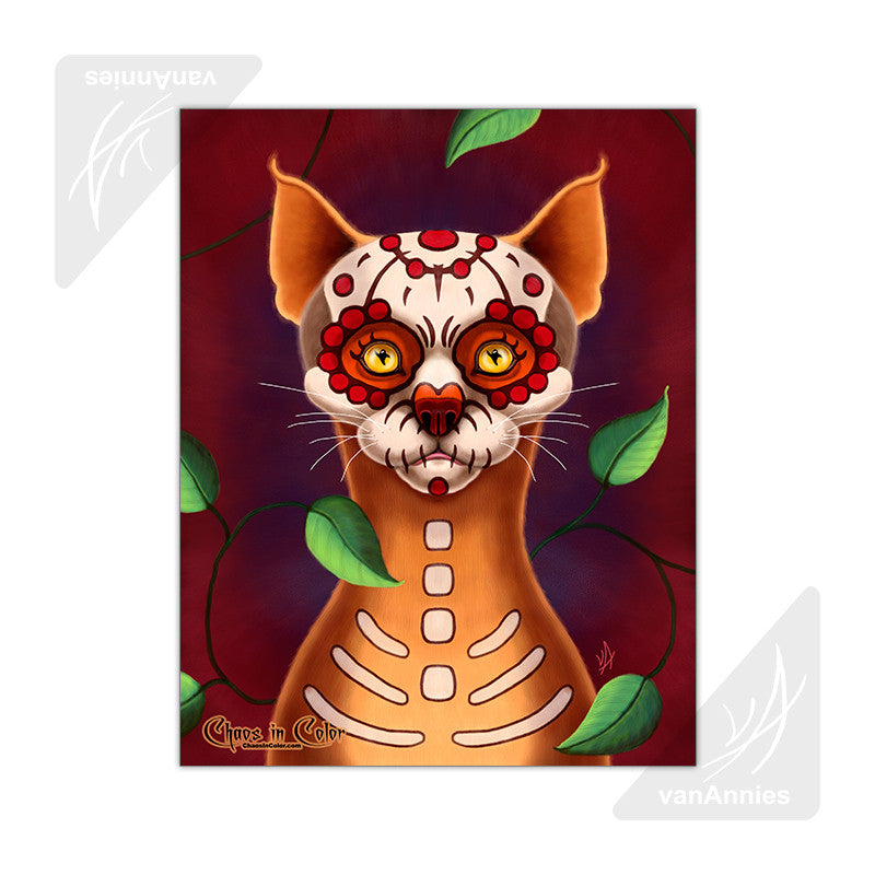 Dulce Gato 11x14 Glossy Print