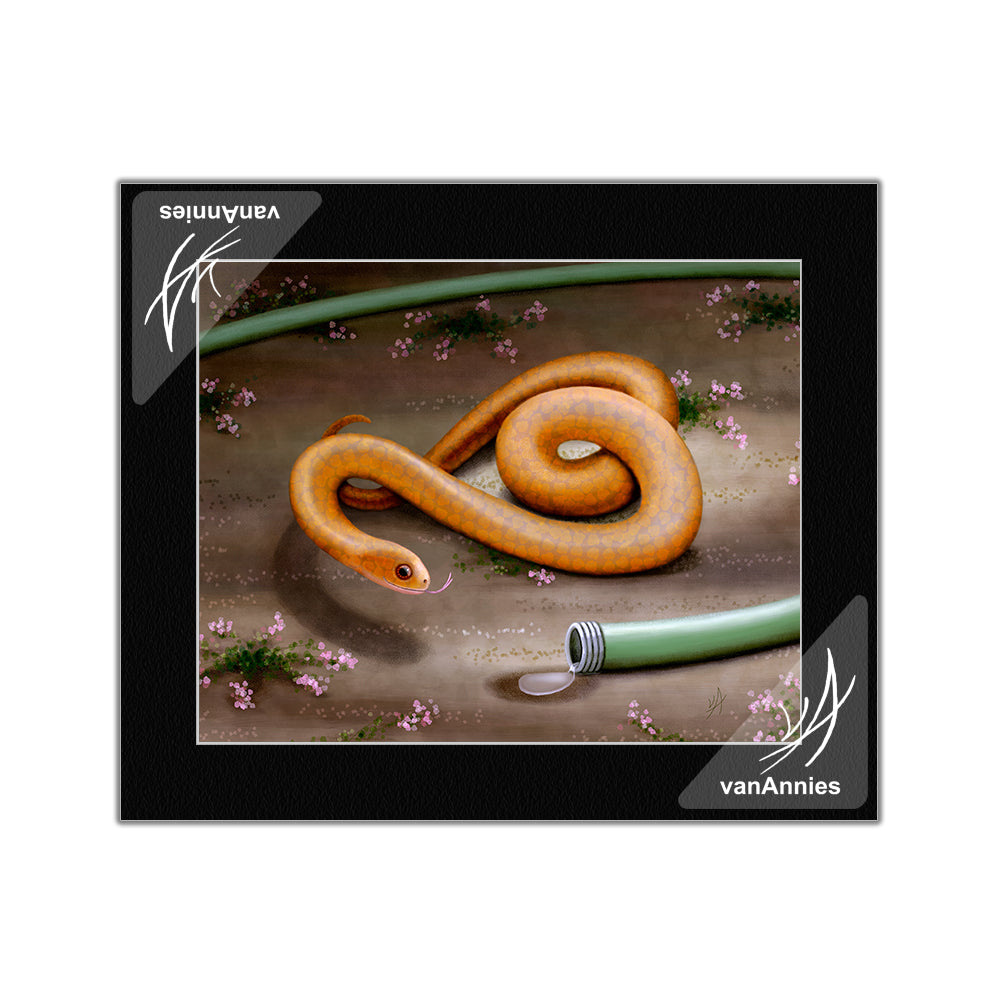 Unrequited (Snake in Love with Garden Hose) Matted Print